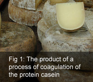 Cheese - original image from Wikipedia, used under the following licence: http://creativecommons.org/licenses/by-sa/3.0/